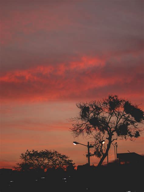 atardecer tumblr|atardeceres on Tumblr.